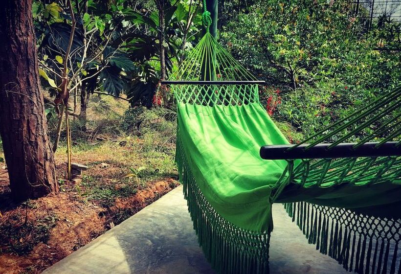 호텔 La Semilla Ecolodge