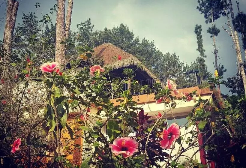 هتل La Semilla Ecolodge