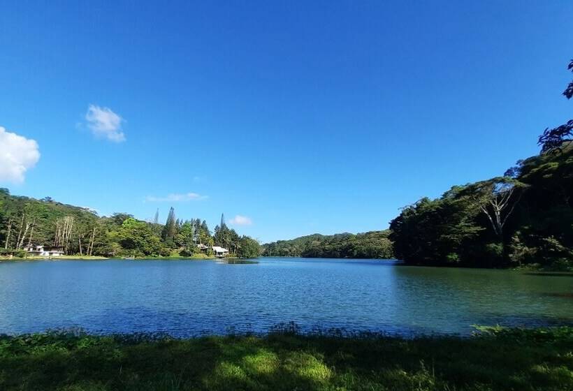 호텔 La Semilla Ecolodge