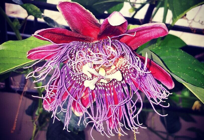 호텔 La Semilla Ecolodge