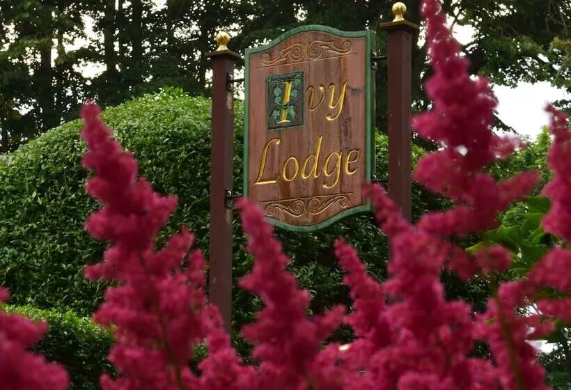 Ivy Lodge Bed & Breakfast