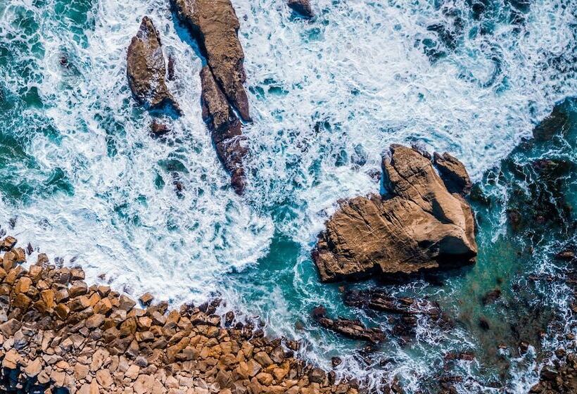 汽车旅馆 El Caminante Bar & Bungalows