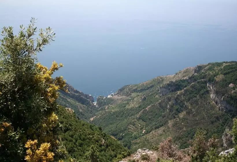 Bed and Breakfast Casa Pendola