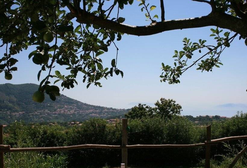 住宿加早餐 Casa Pendola