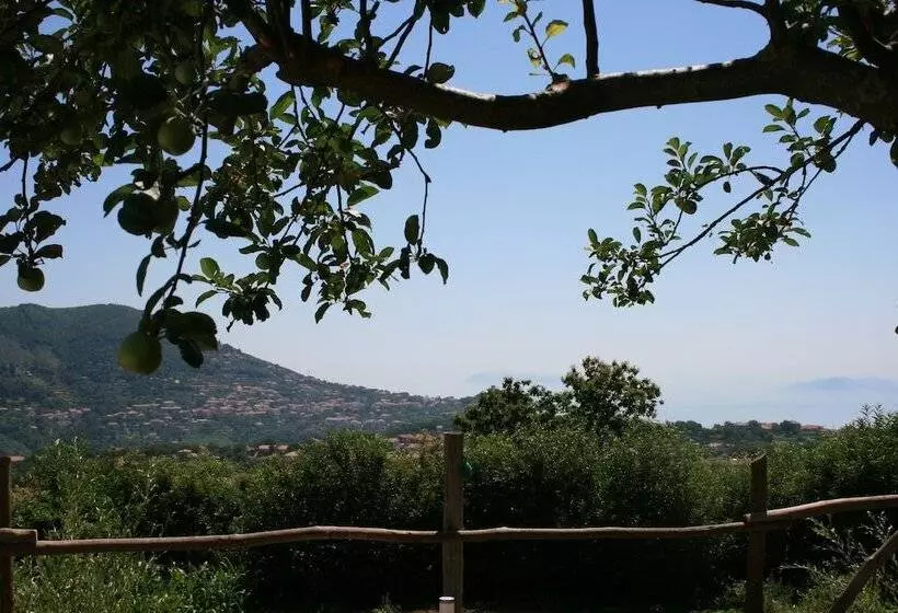 Bed and Breakfast Casa Pendola