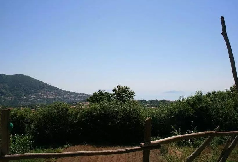 Bed and Breakfast Casa Pendola