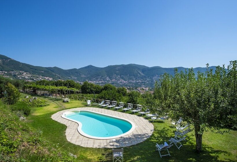 住宿加早餐 Casa Pendola