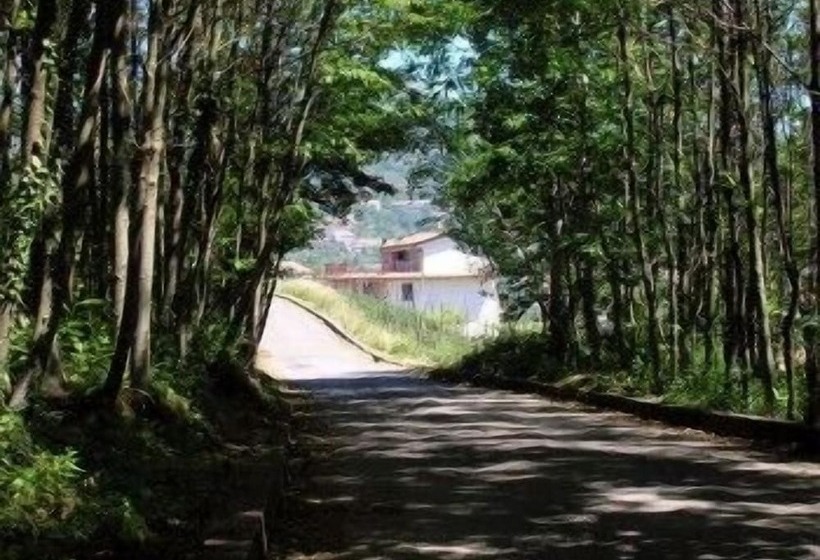 住宿加早餐 Casa Pendola