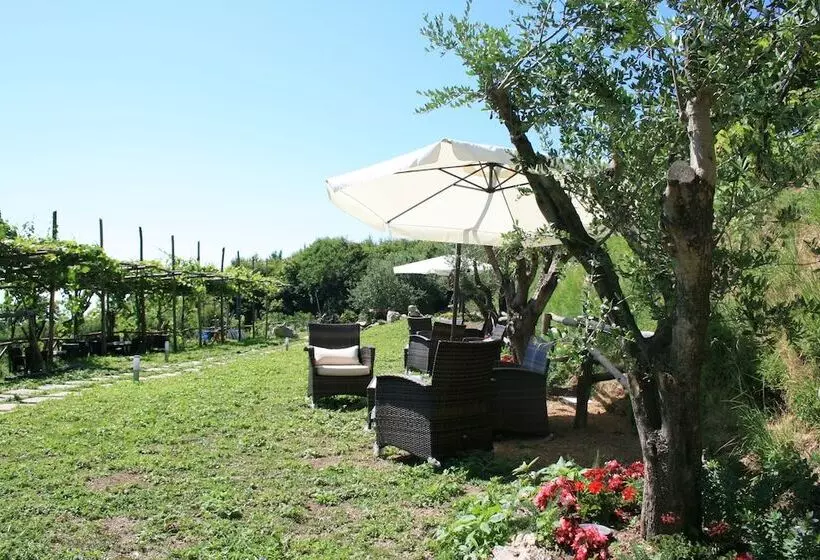 Bed and Breakfast Casa Pendola