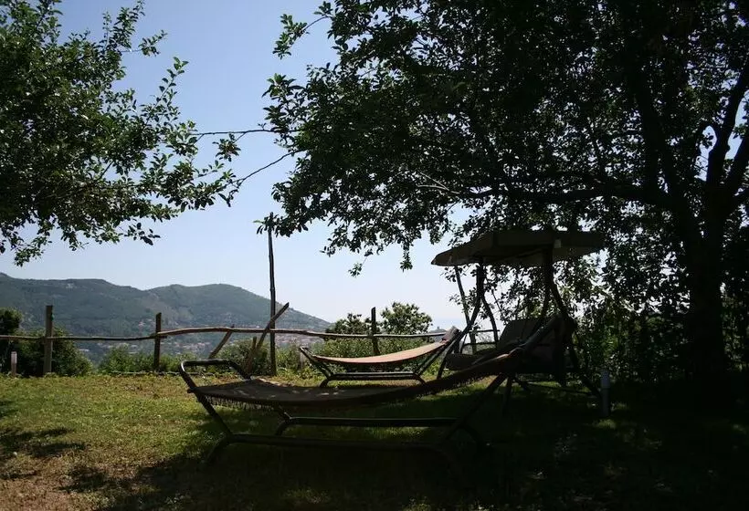 Bed and Breakfast Casa Pendola