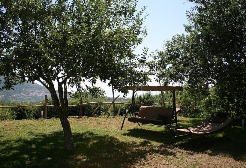 住宿加早餐 Casa Pendola