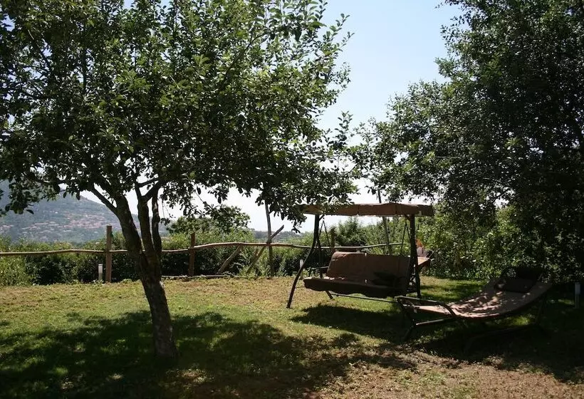 Bed and Breakfast Casa Pendola