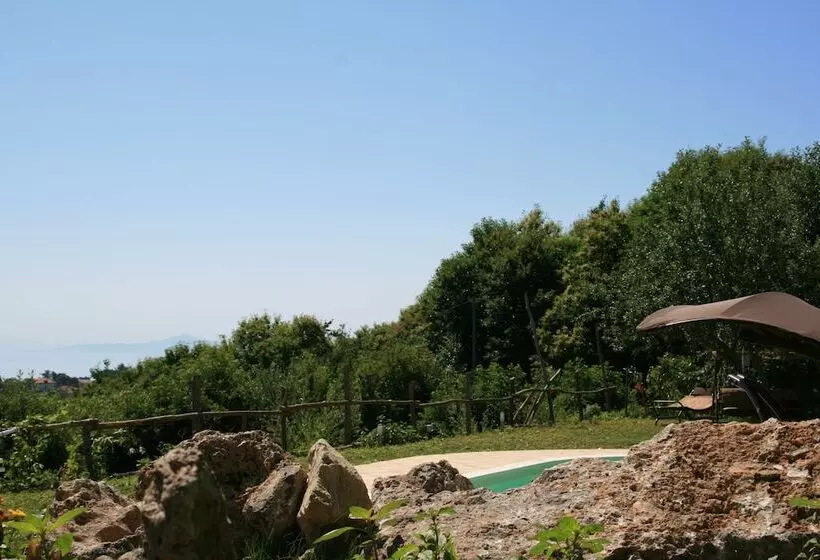 Bed and Breakfast Casa Pendola