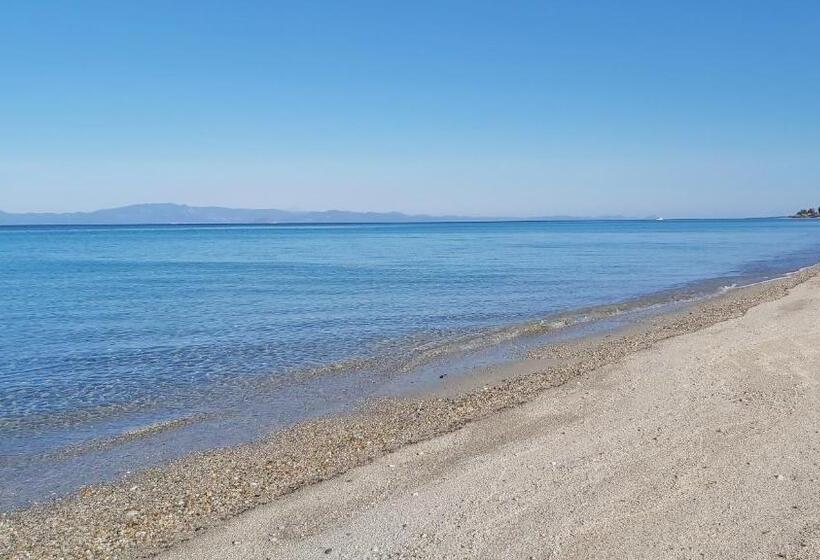 酒店 Akrogiali Exclusive