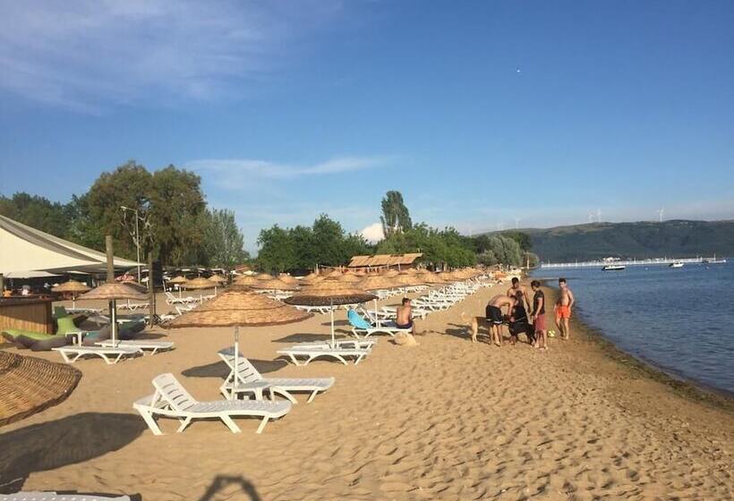 בית מלון כפרי Grand Asya