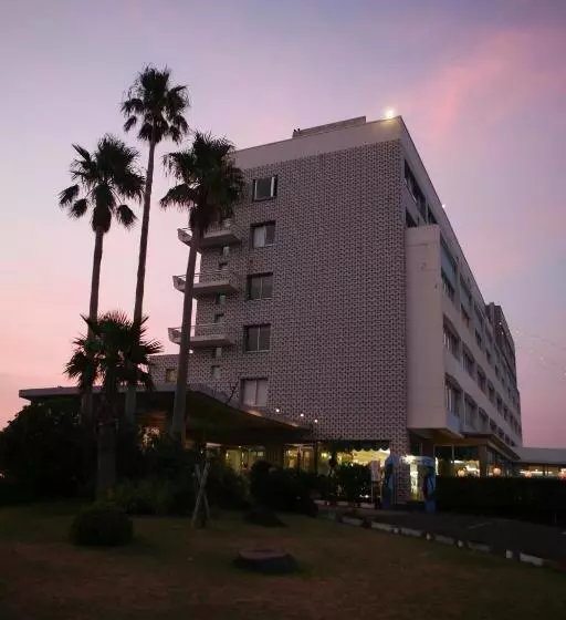 酒店 Ibusuki Seaside