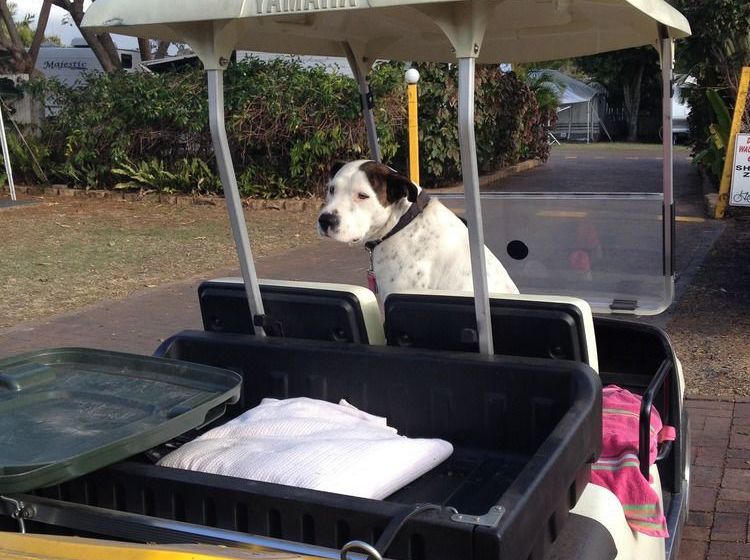 Отель Tasman Holiday Parks   Torquay Palms