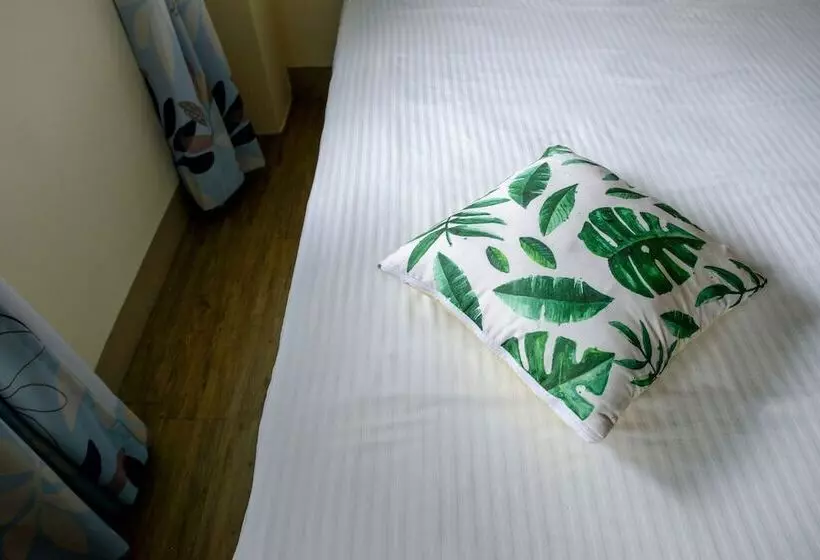 پانسیون Rabbit House