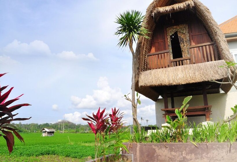 بنسيون Villa Tangtu Beach Inn