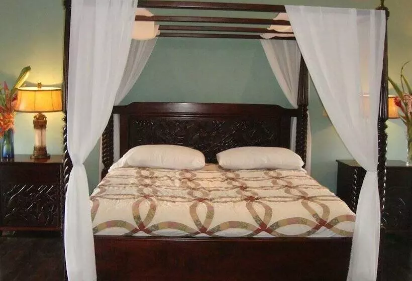 אתר נופש Toucan Suite @ Mahogany Hall