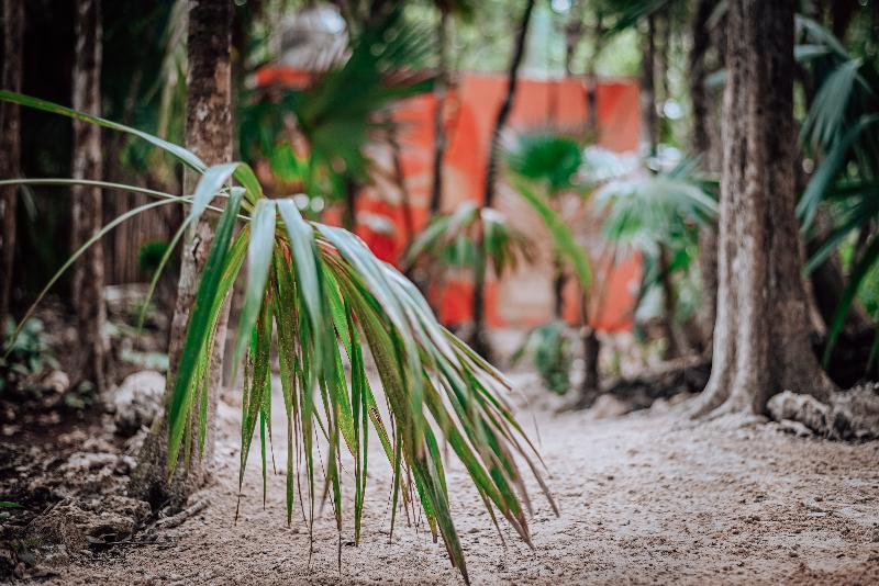 فندق Lunita Jungle