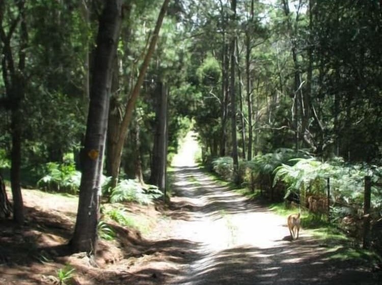 住宿加早餐 Glenbrook House And Cottage
