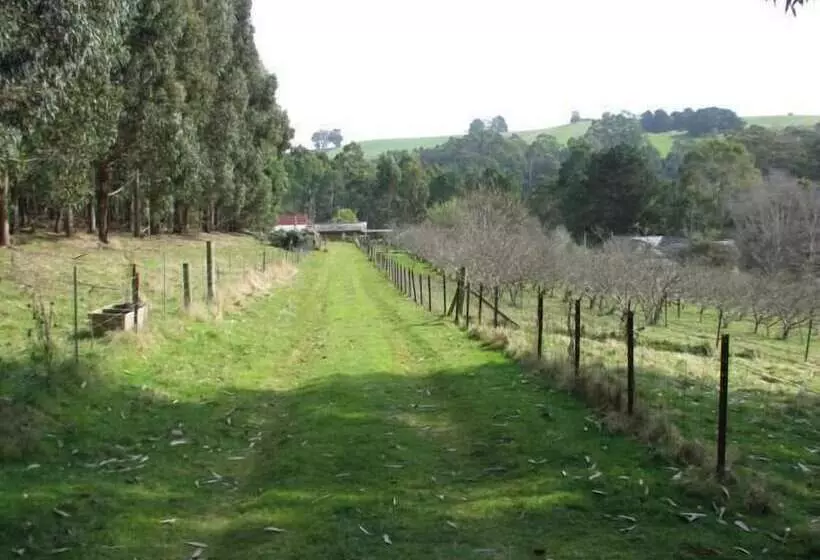 Bed and Breakfast Glenbrook House And Cottage