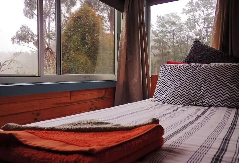 Bed and Breakfast Glenbrook House And Cottage