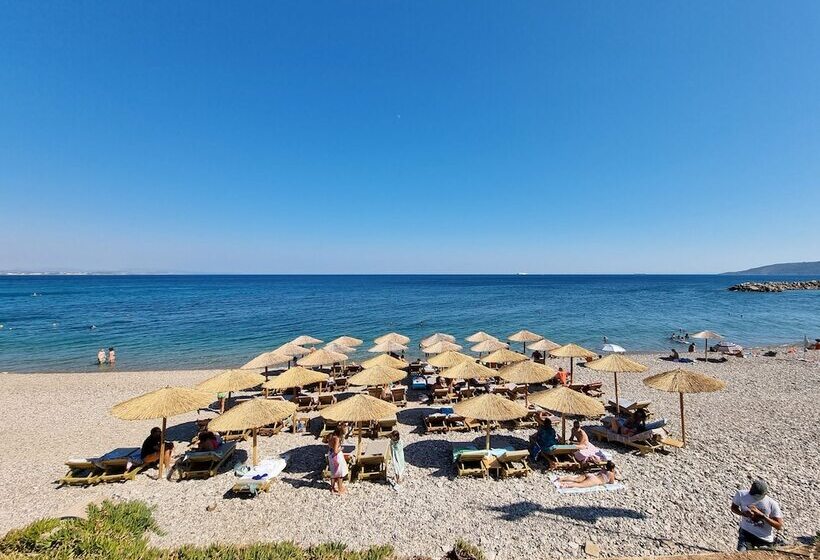 Chios Xenia Studio & Apartments