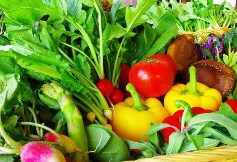 בית מלון כפרי Komagane Kogen Resort Linx