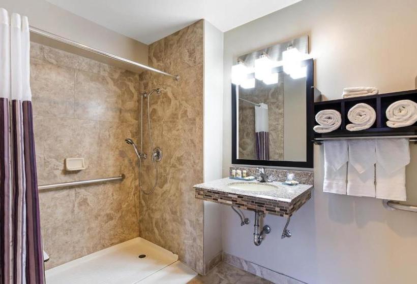 호텔 Best Western Plus Hyde Park Chicago