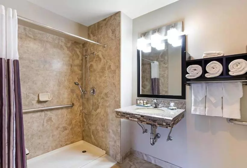 בית מלון כפרי Best Western Plus Hyde Park Chicago