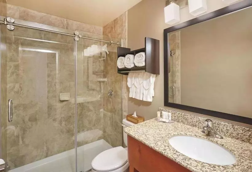 בית מלון כפרי Best Western Plus Hyde Park Chicago