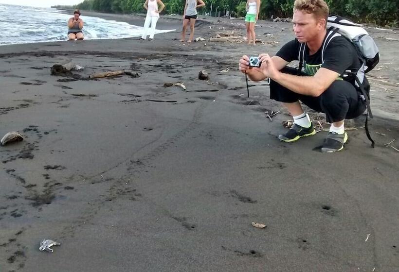 Отель Lirio Lodge