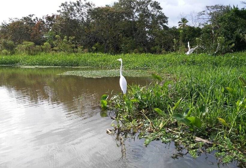 Отель Lirio Lodge