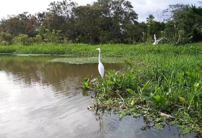 בית מלון כפרי Lirio Lodge