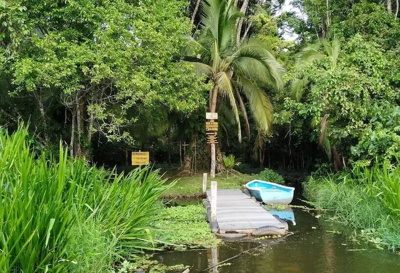 בית מלון כפרי Lirio Lodge