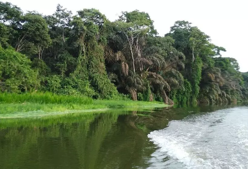 בית מלון כפרי Lirio Lodge