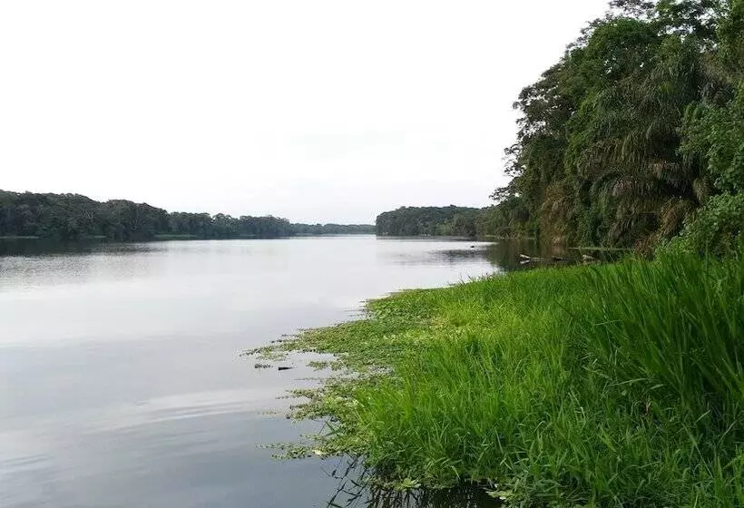 בית מלון כפרי Lirio Lodge