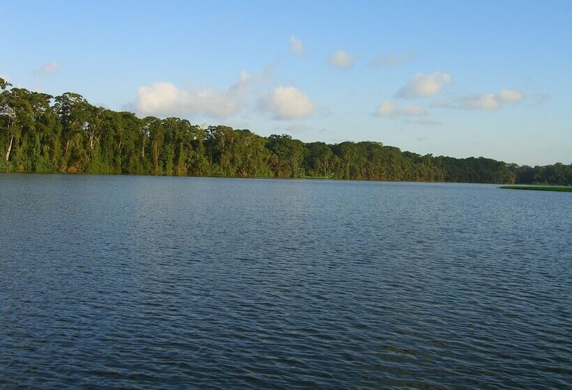 Отель Lirio Lodge