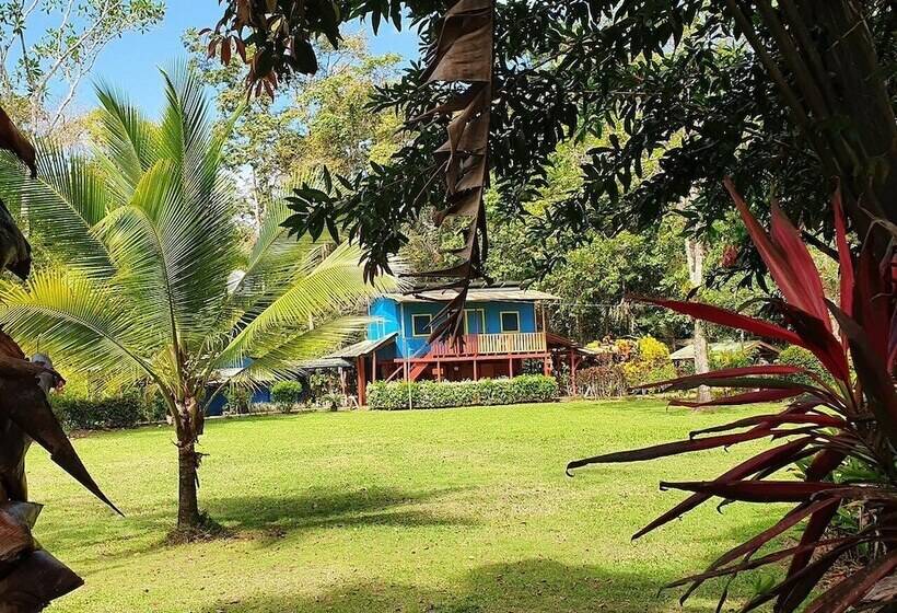 Отель Lirio Lodge