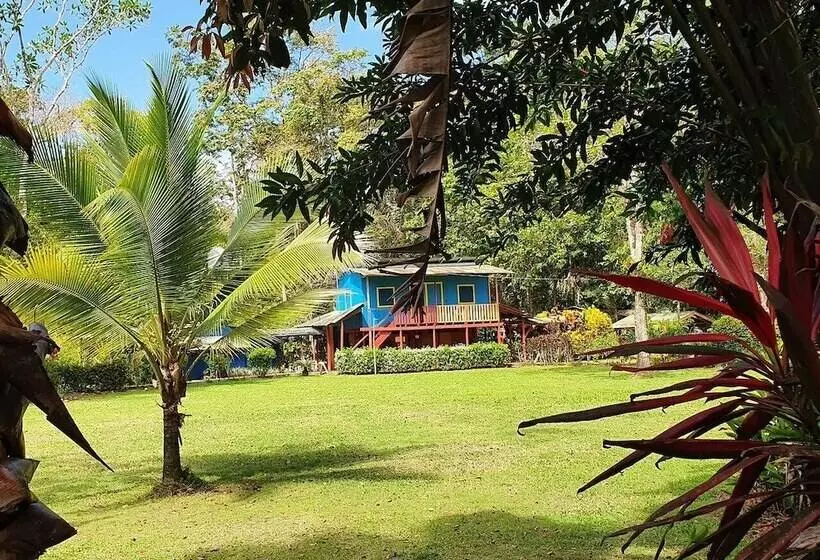 בית מלון כפרי Lirio Lodge