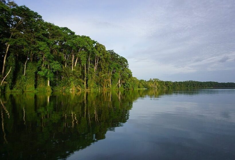 Отель Lirio Lodge