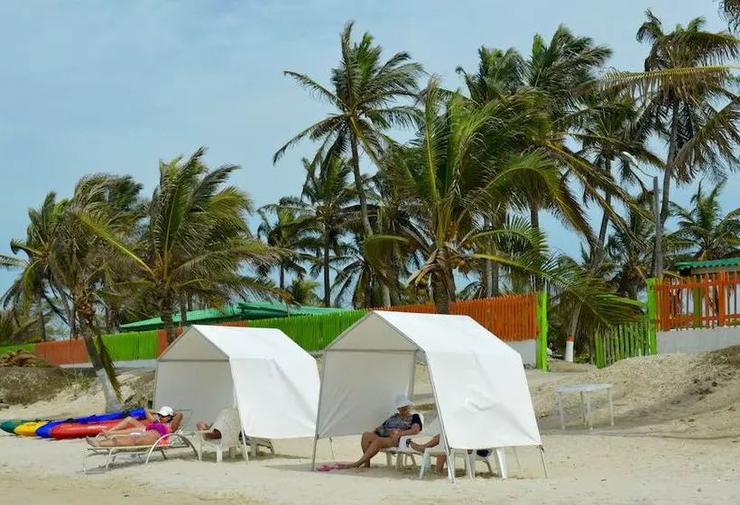 בית מלון כפרי Palmarito Beach