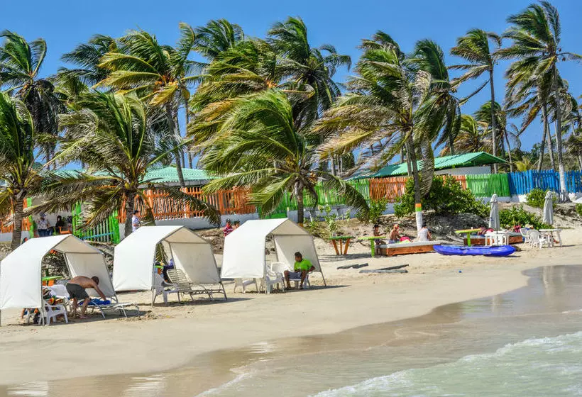 בית מלון כפרי Palmarito Beach