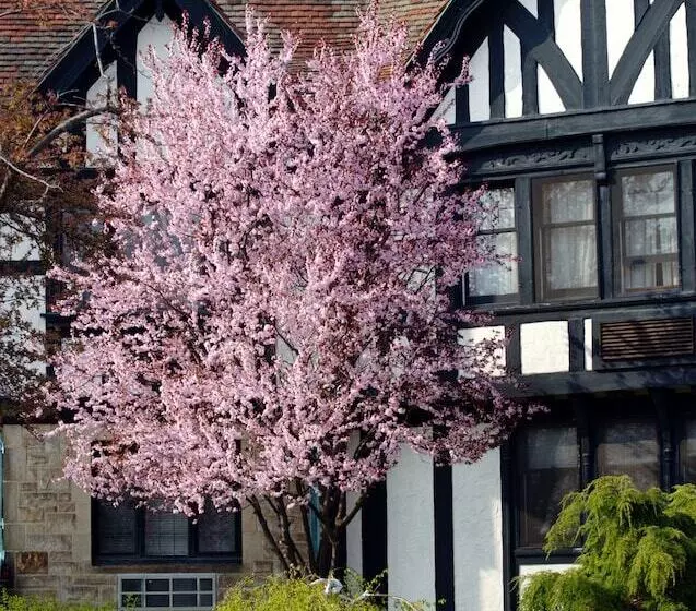 فندق Punderson Manor Lodge And Conference Center