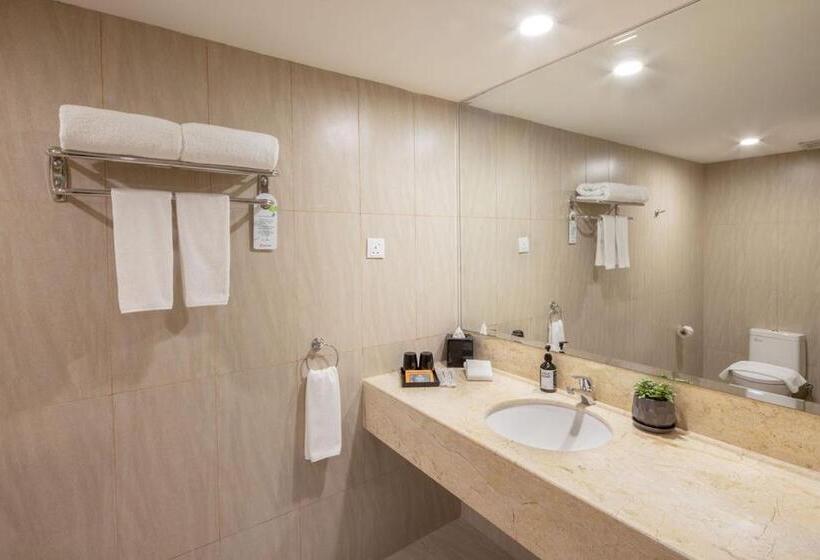 בית מלון כפרי Rocana