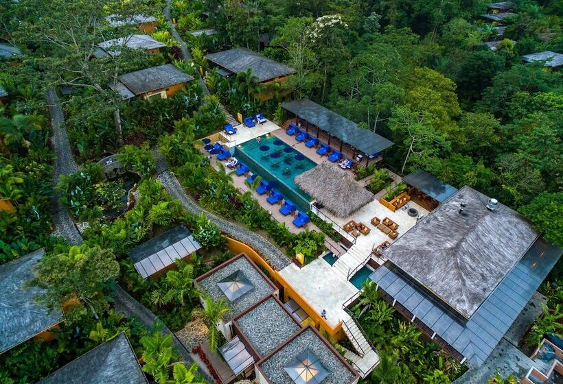 Nayara Springs  Adults Only