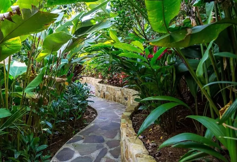 Nayara Springs Adults Only