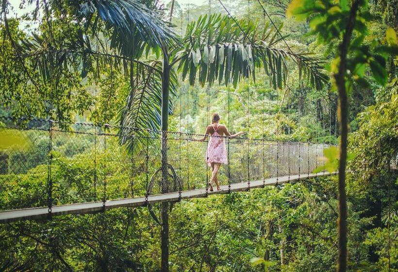 Nayara Springs  Adults Only